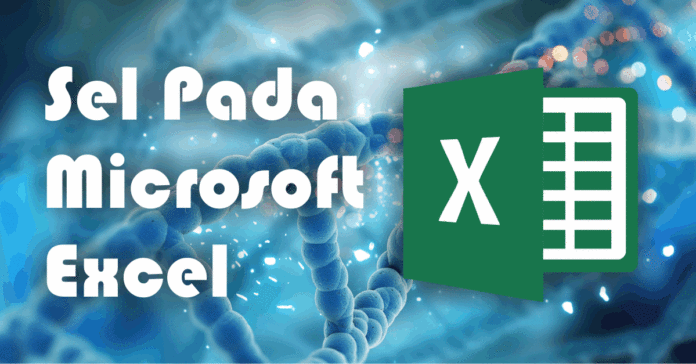 Pengertian Sel, Range dan Alamat Sel Pada Excel