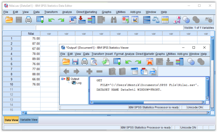 Cara Memasukkan Dan Mengolah Data Dengan SPSS - Advernesia